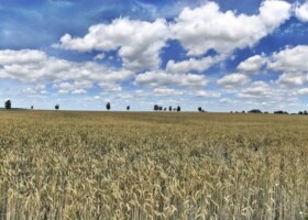 2017 - Campingplatz Bad Schmigeberg