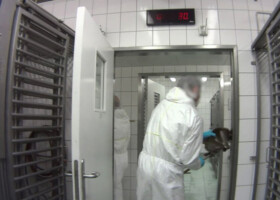 Todeslabor, Tierversuchsstation, LTP, Mienenbüttel, Hamburg, Neugraben